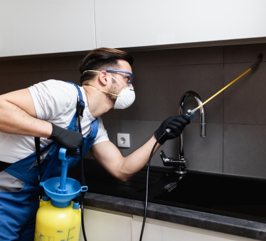 Chris Pest Control Randwick Milestone